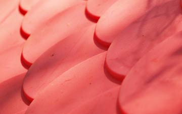 Kits Coty plastic roof costs